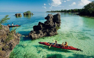 Zanzibar Island Water Ocean Nature Full HD Wallpaper