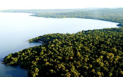 Aerial-view-of-Rubondo-Island-National-Park-Easy-Travel-Tanzania-scaled
