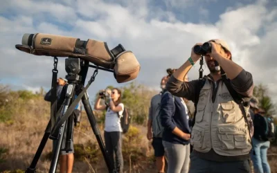 CMVB-2-1-e1595847890841