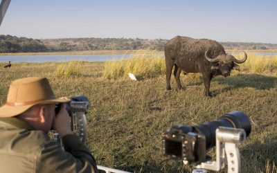 EXP_Gallery_Photographic_0010_Botswana-Expeditions-Photography-And-Beyond