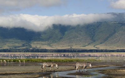 inside Ngorongoro Crater