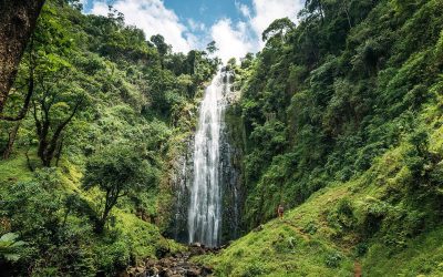 Materuni_Waterfalls_03
