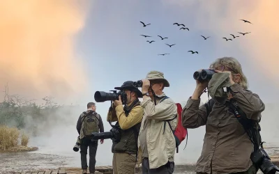 Memperhatikan-atau-mengamati-perilaku-dan-kegiatan-orang-lain-tanpa-berinteraksi-langsung