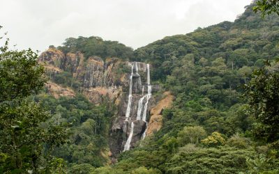 OtterWeekend-26-scaled