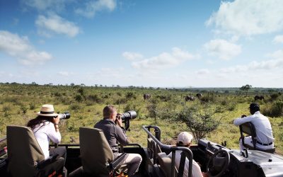 londolozi-activities-photographic-safari-05