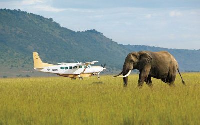 safari-vehicle-3 - Copy