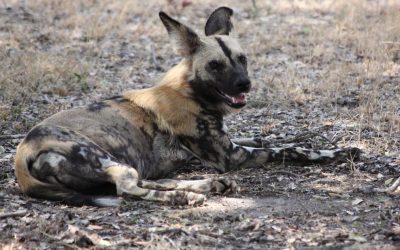 shutterstock_113516299