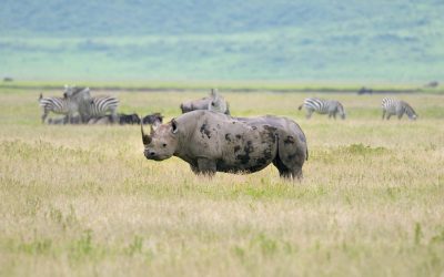 shutterstock_121110919 - Copy