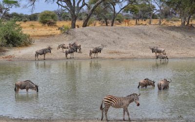 shutterstock_239904697