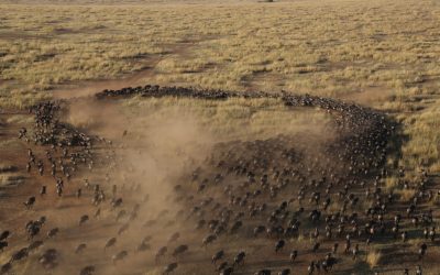 shutterstock_388459303