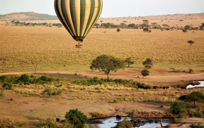Hot,Air,Balloon,Safari,,Serengeti,,Tanzania,,Africa
