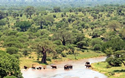 tarangire-national-park-view-750x450