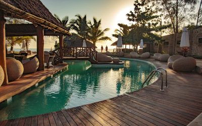 tuliazanzibarimg4838webgallery